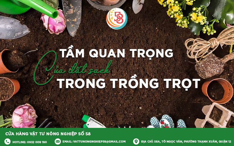 TẦM QUAN TRỌNG CỦA ĐẤT SẠCH TRONG TRỒNG TRỌT